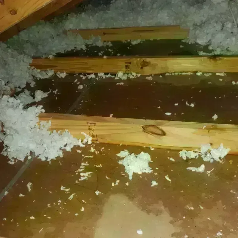 Attic Water Damage in Auglaize County, OH